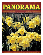 Vol 38, No 2